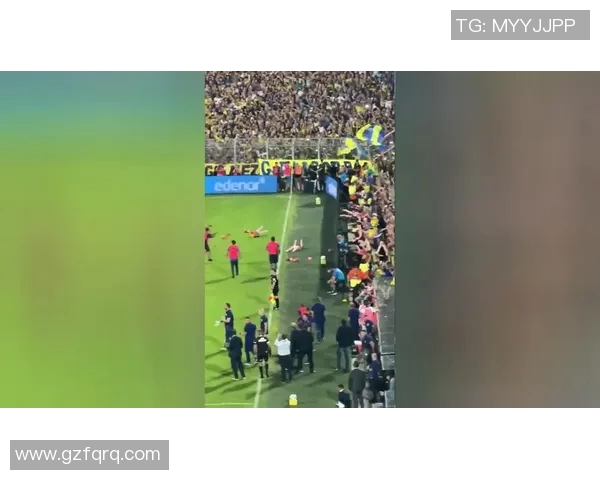 球迷疯狂冲入场内抢C罗球衣引发热议的欧冠奇观